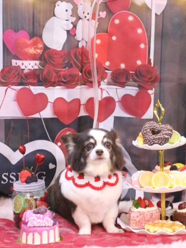 20250212アンジくん